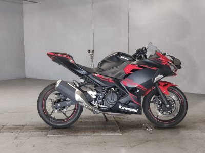 Kawasaki Z250 2018