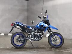 Kawasaki D-TRACKER250X 2016