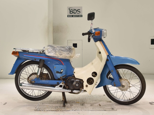 Suzuki BIRDIE50