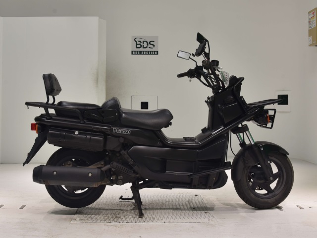 Honda PS250 BIG RUCKUS 2004