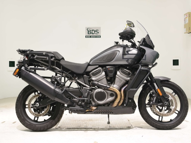 HD PAN AMERICA1250 S 2022