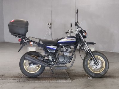 Honda APE100 2010