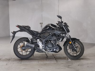 Yamaha MT-25 2019