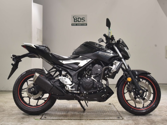 Yamaha MT-25 2016