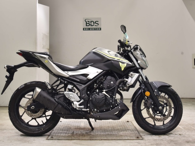 Yamaha MT-25 2017