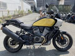 HD PAN AMERICA1250 S 2023