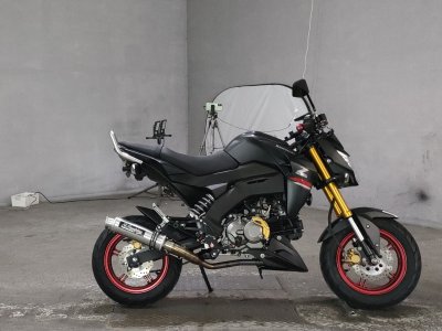 Kawasaki Z125 PRO 2021