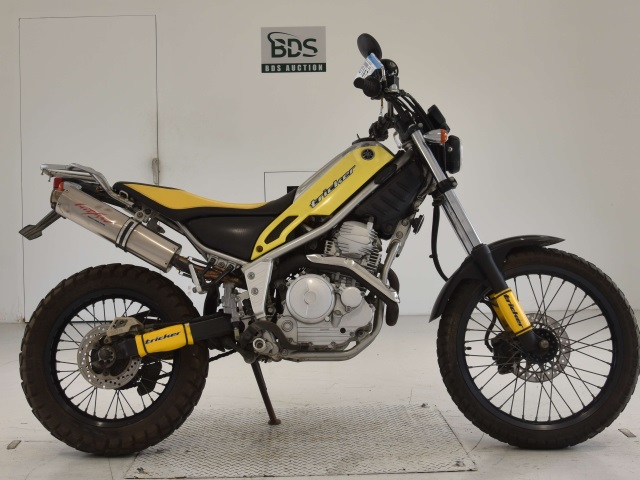 Yamaha TRICKER 2004