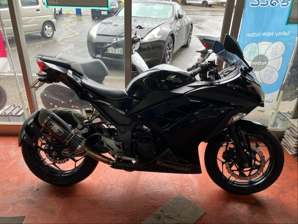 Kawasaki NINJA250 2014