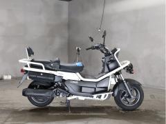 Honda PS250 BIG RUCKUS 2004