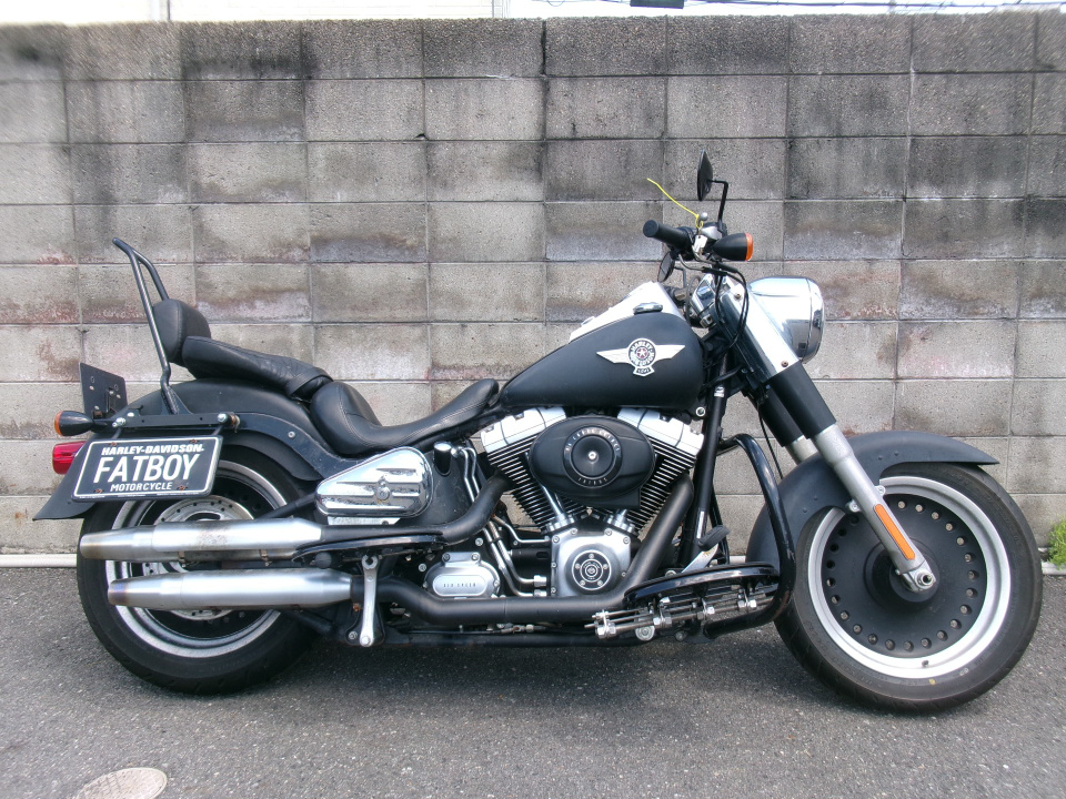 HD HARLEY FLSTFB 2010