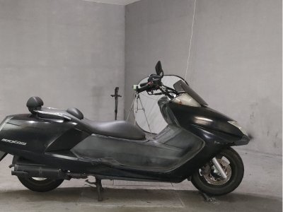 Yamaha MAGZAM 2006