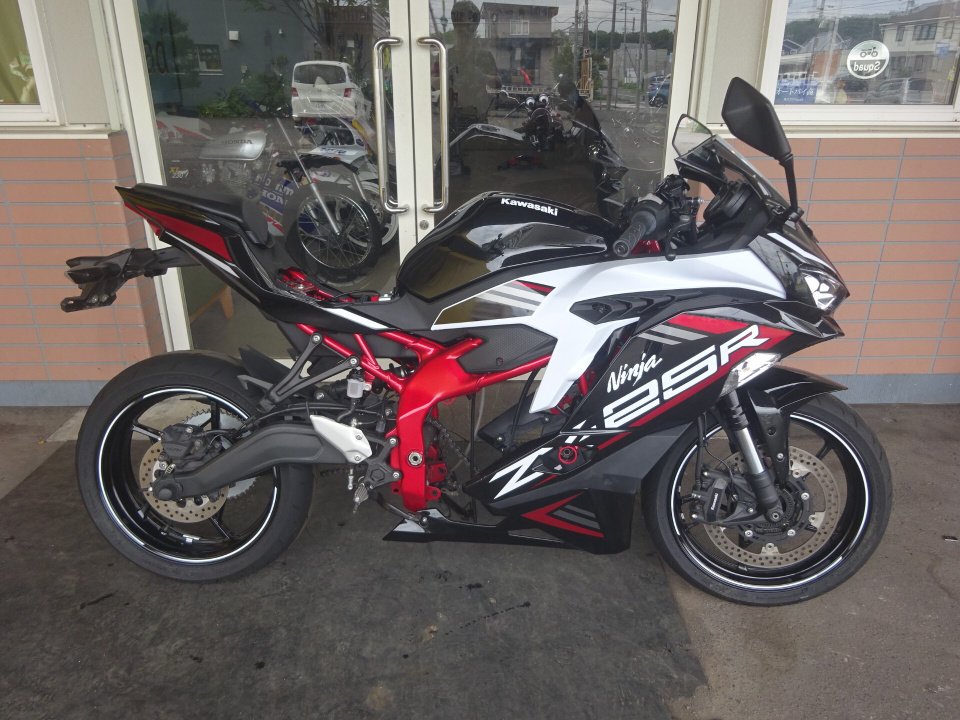 Kawasaki NINJA ZX-25R 2021