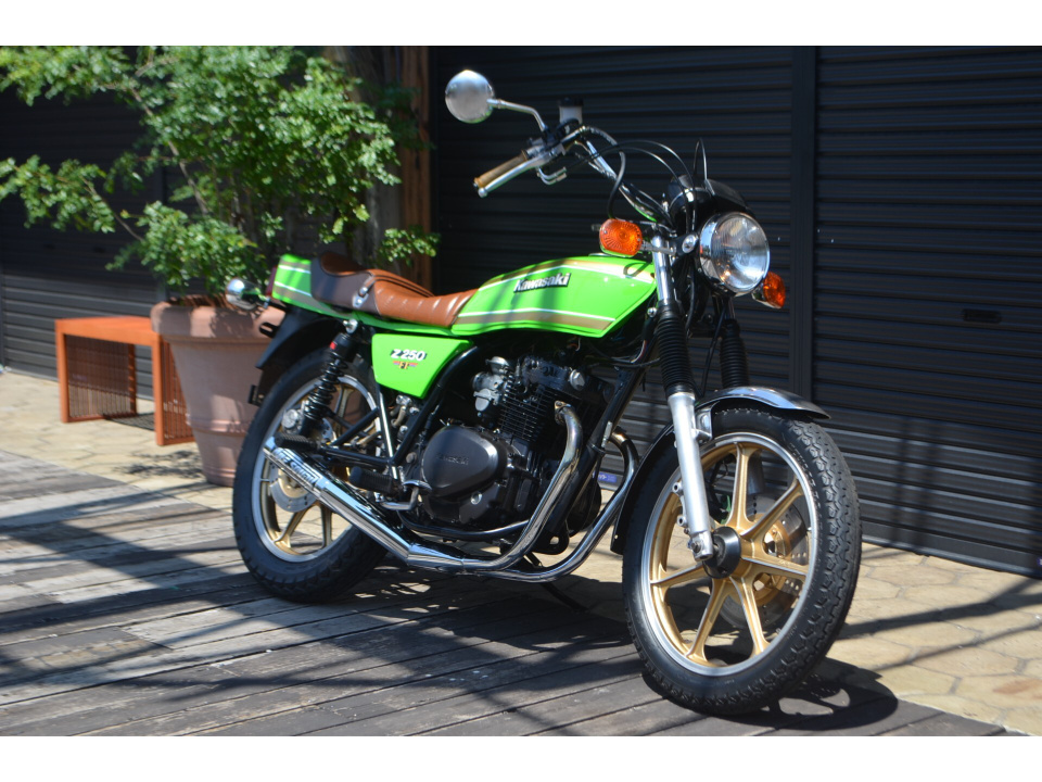Kawasaki Z250FT