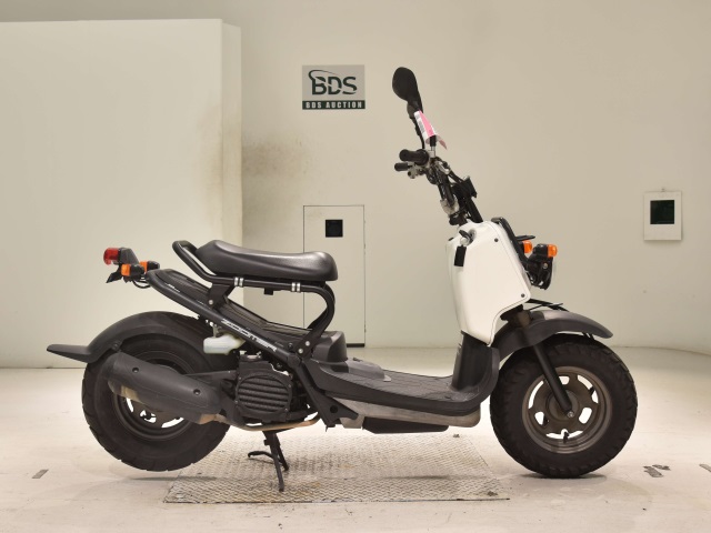 Honda ZOOMER 2009
