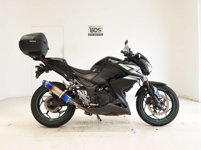 Kawasaki Z250 2013