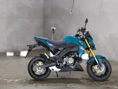 Kawasaki Z125 PRO 2021