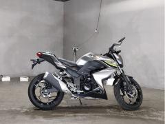 Kawasaki Z250 2017