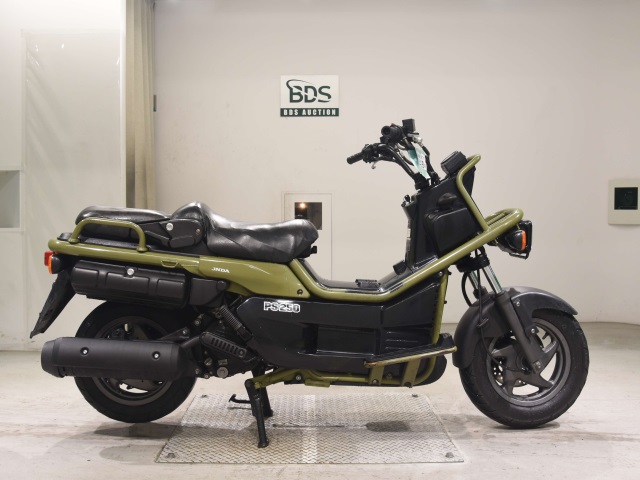 Honda PS250 BIG RUCKUS 2004