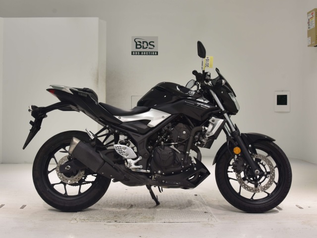 Yamaha MT-25 2016