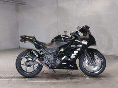 Kawasaki NINJA250R 2009