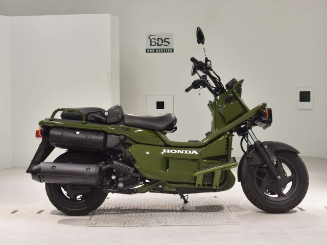 Honda PS250 BIG RUCKUS 2004