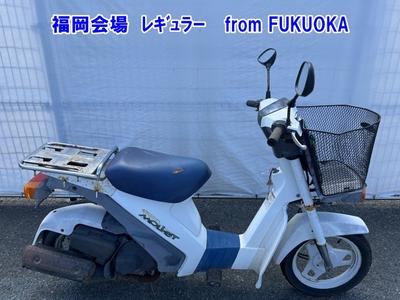 Suzuki MOLLET