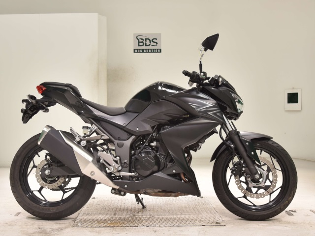 Kawasaki Z250 2016