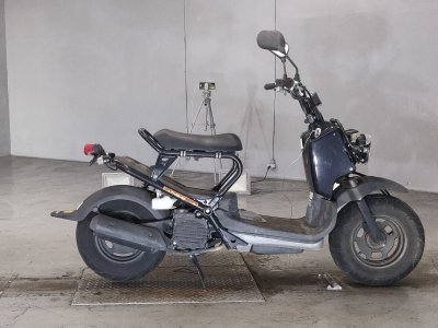 Honda ZOOMER 2001