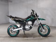Kawasaki D-TRACKER250 2001