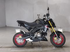 Kawasaki Z125 PRO 2021