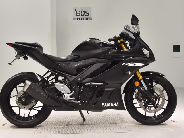 Yamaha YZF-R3 2019