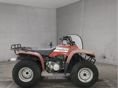 Honda TRX300FW 2018