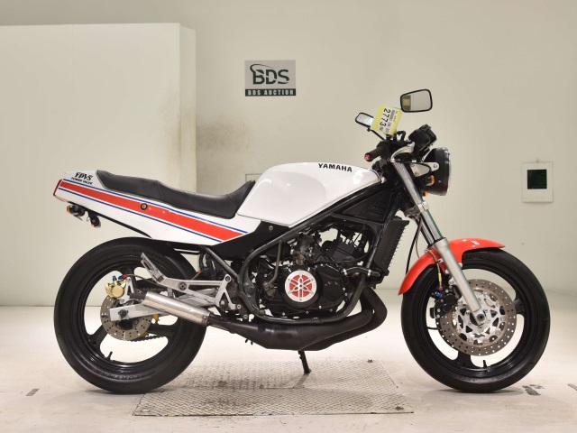 Yamaha RZ250R
