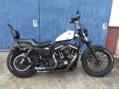 HD SPORTSTER IRON XL883N 2013