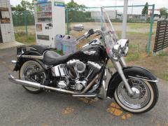 HD HERITAGE SPECIAL FLSTN 2009