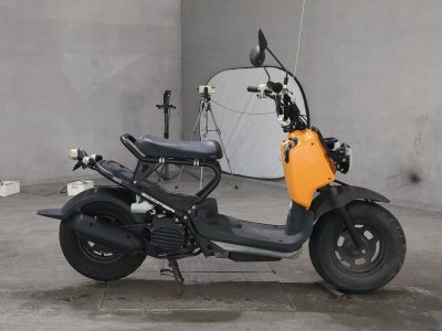 Honda ZOOMER 2009