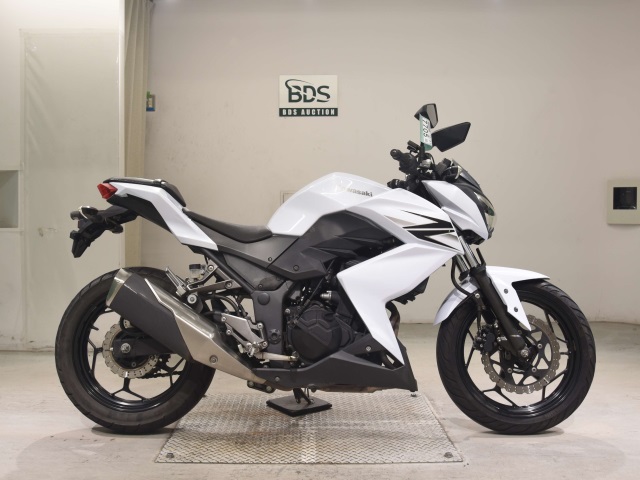 Kawasaki Z250 2013