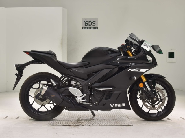 Yamaha YZF-R3 2019