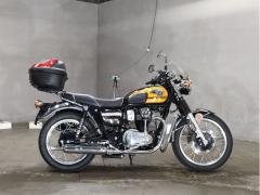 Kawasaki W800 2019