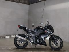 Kawasaki Z250 2016