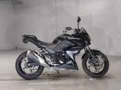 Kawasaki Z250 2013
