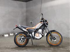 Yamaha TRICKER 2007