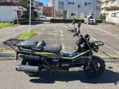 Honda PS250 BIG RUCKUS 2004