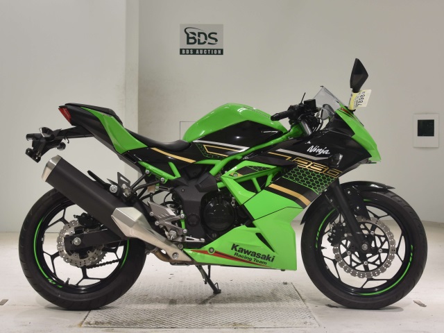 Kawasaki NINJA250 2020