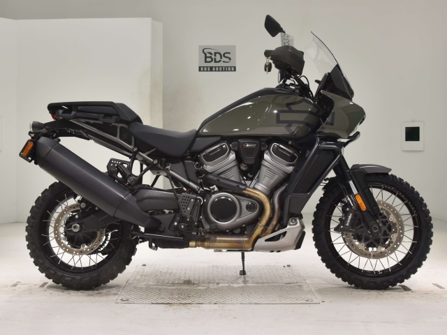HD PAN AMERICA1250 S 2021
