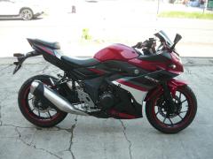 Suzuki GSX250R