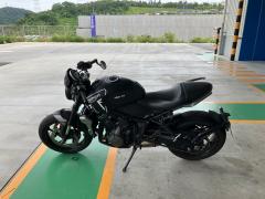 Triumph TRIDENT660 2021