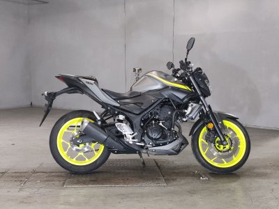Yamaha MT-25 2018