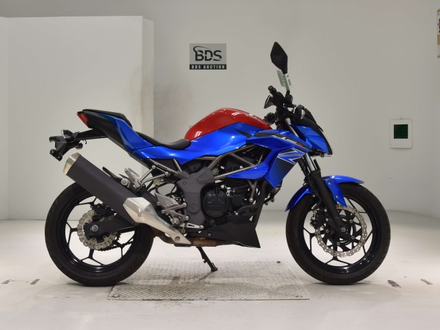Kawasaki Z250SL 2016